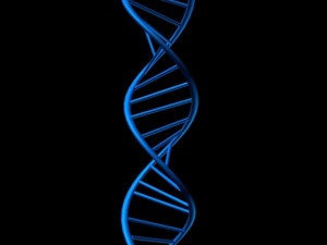 dna 3D Model
