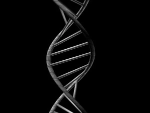 dna 3D Model