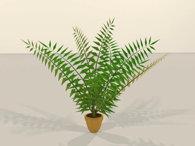 palm 3D Model .c4d .max .obj .3ds .fbx .stl .blend 