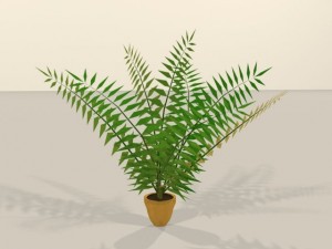 palm 3D Model