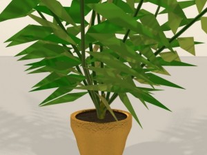 palm 3Dモデル
