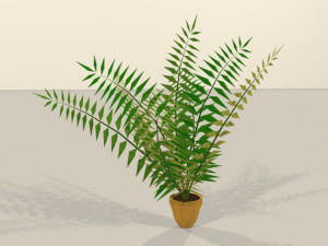 palm 3Dモデル
