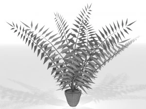 palm 3D Model