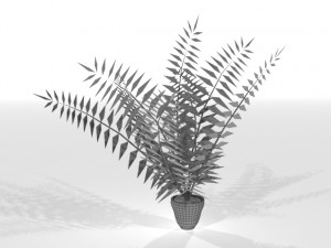 palm 3Dモデル
