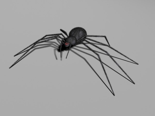 spider 3D Модель .c4d .max .obj .3ds .fbx .stl .blend 