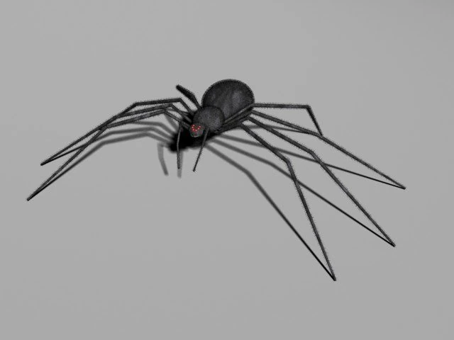 spider 3D Model .c4d .max .obj .3ds .fbx .stl .blend 