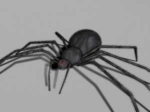 spider 3D Модель