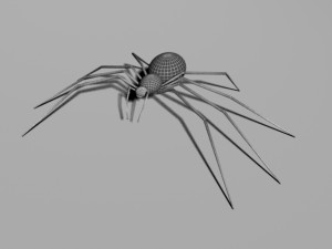 spider 3D Модель