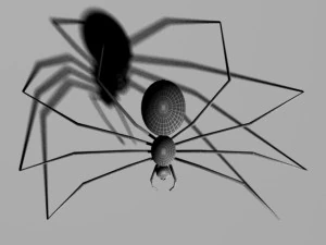 spider 3D Model