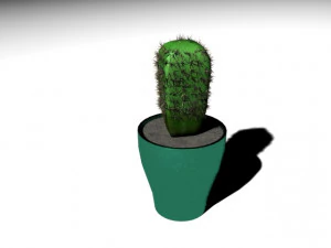 cactus 3D Model