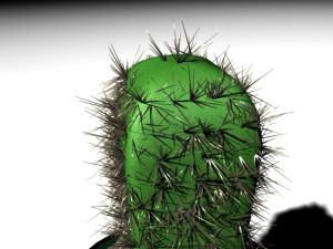 cactus 3D Model