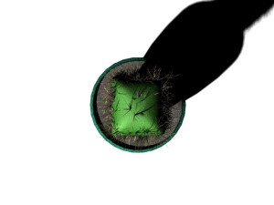 cactus 3D Model