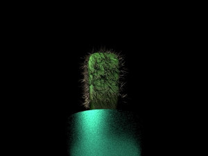 cactus 3D Model