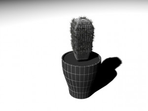 cactus 3D Model