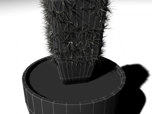 cactus 3D Model