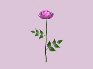rose 3D Model