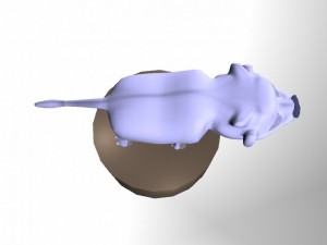 chum 3D Model