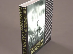 35 textured models of books 3D Model