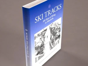 35 textured models of books 3D Model