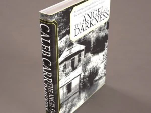 35 textured models of books 3D Model