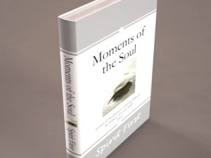 35 textured models of books 3D Model