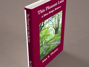 35 textured models of books 3D Model