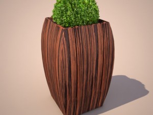 bush 3D Model