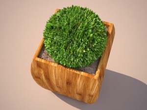 bush 3D Model