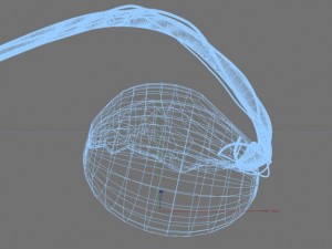 human testicle  medical 3D Model