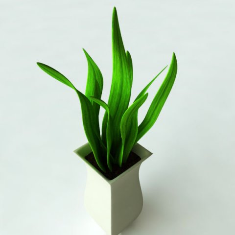 potted plant2 3D मॉडल .c4d .max .obj .3ds .fbx .stl .blend