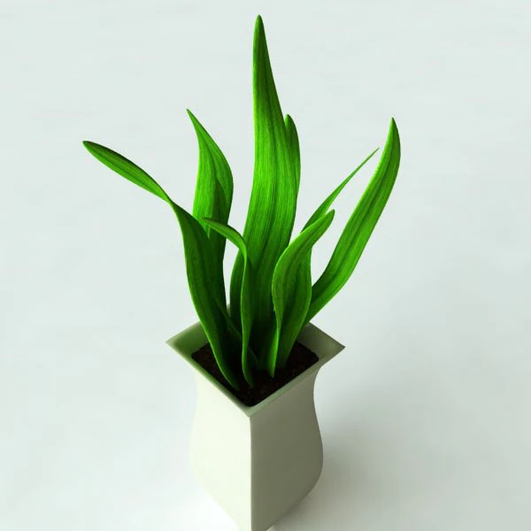 potted plant2 3D Model .c4d .max .obj .3ds .fbx .stl .blend