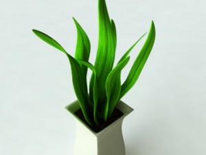 potted plant2 Modelo 3D