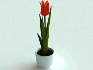 tulip in pot Modelo 3D
