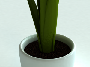 tulip in pot 3D Model