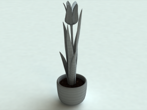 tulip in pot 3D Model