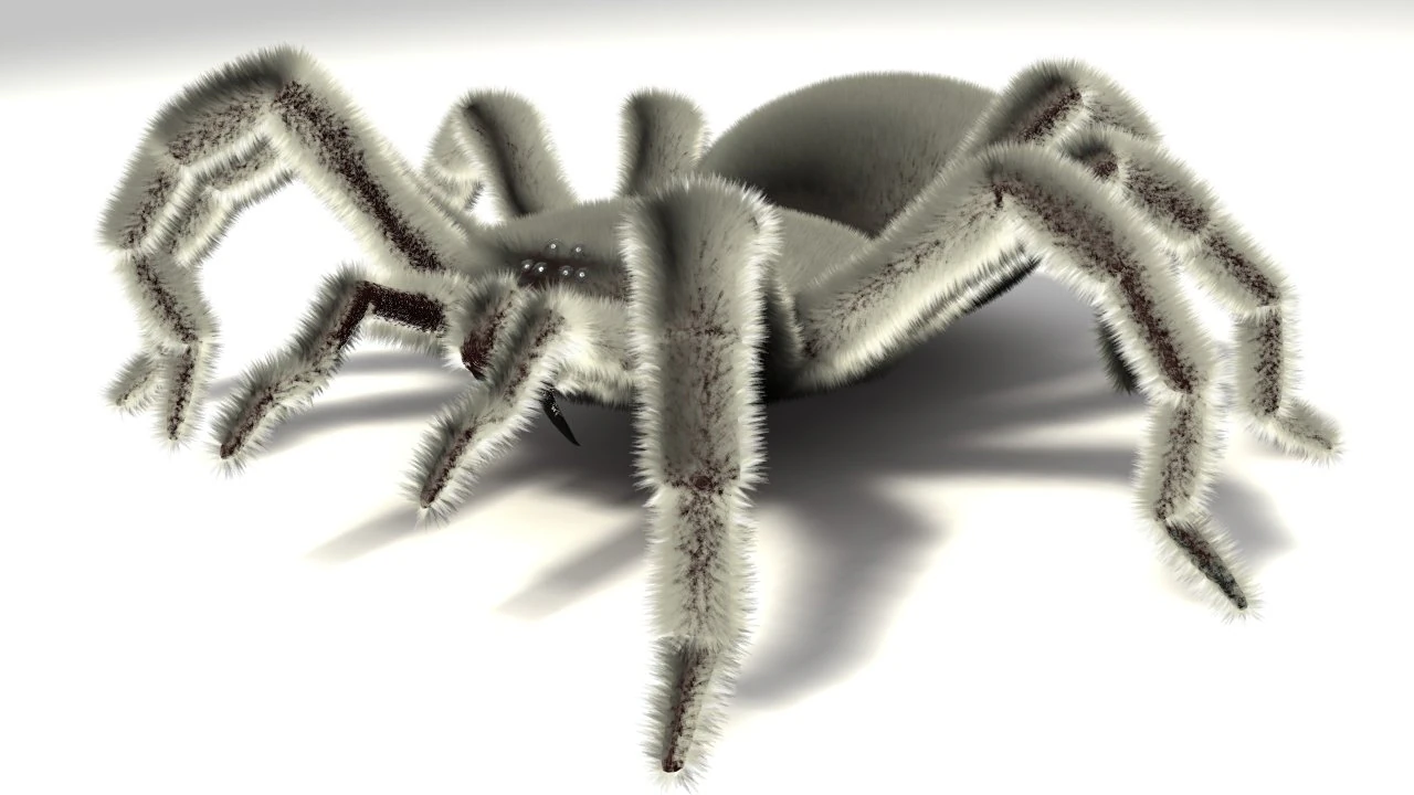 spider 3D Model .c4d .max .obj .3ds .fbx .stl .blend
