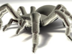 spider Model 3D