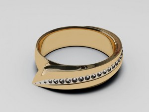 ring 3D मॉडल