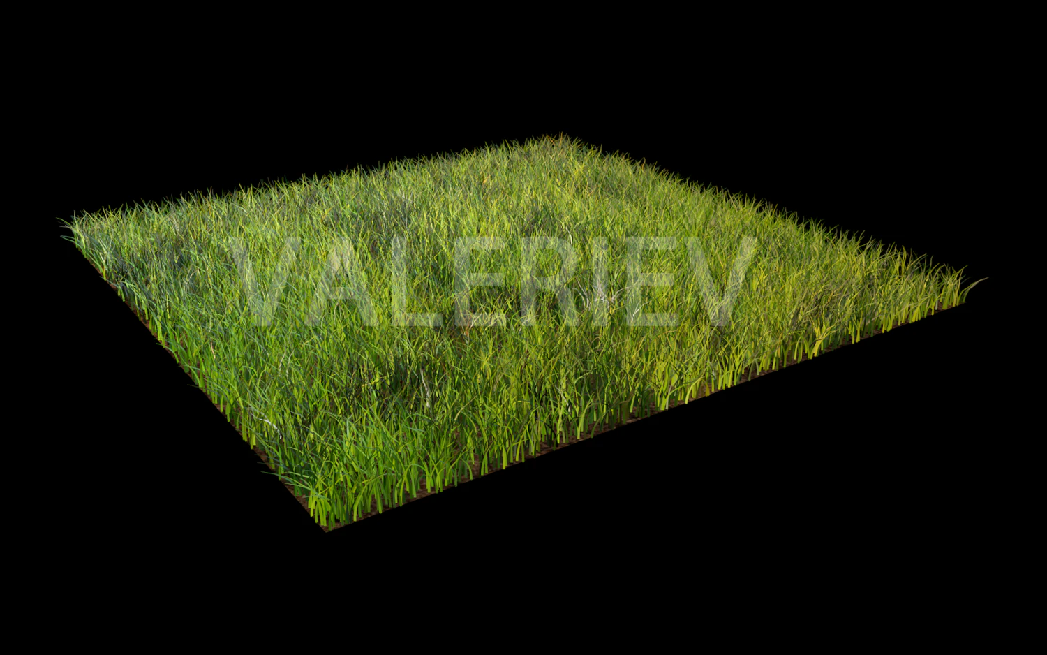 grass 3D Model .c4d .max .obj .3ds .fbx .stl .blend 