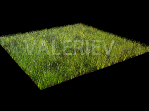 grass 3D Model