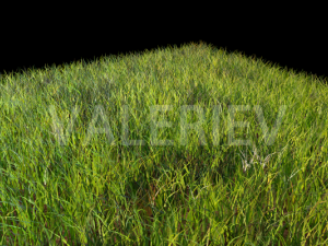grass 3D 모델