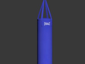 boxing bag 3D Модель