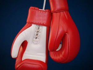 boxing glove 3D Model