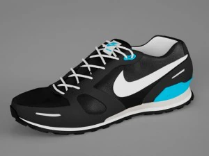 sepatu pelatih wafel nike Model 3D