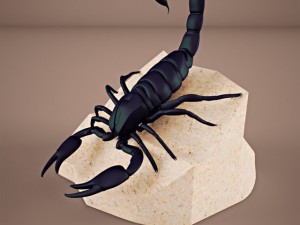 scorpion 3D Model