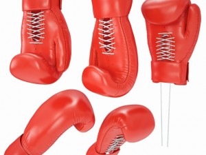 boxing gloves 3D 모델