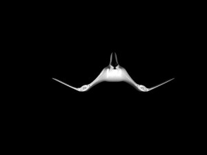 spaceship 3D Model