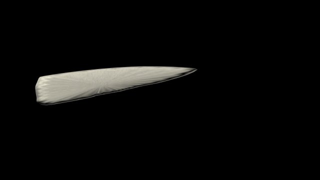 neolithic bone tool 3D Model .c4d .max .obj .3ds .fbx .stl .blend 