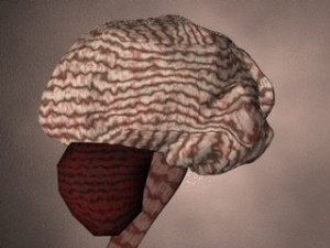 brain Modello 3D
