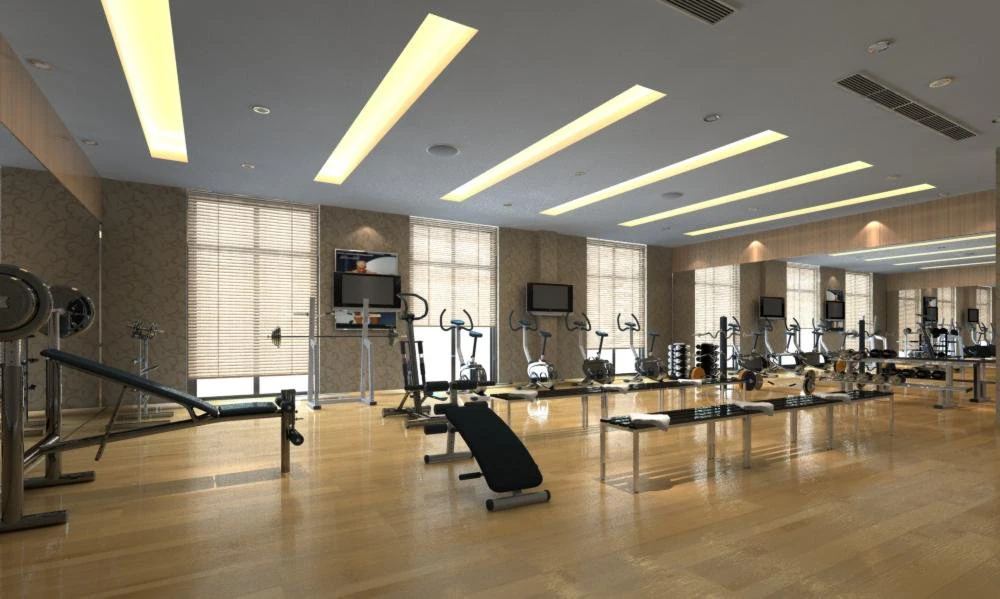 gym space 17 3D Model .c4d .max .obj .3ds .fbx .stl .blend 